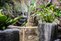 /album/fotogalerie-papilonia-motyli-dum-praha/prostredi-papilonie-je-inspirovano-chramem-angkor-vat-v-kambodzi-jpg1/